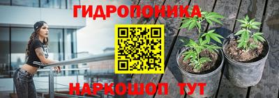 прущие грибы Добрянка